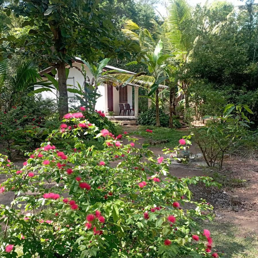 Sanjana Home Stay Habarana Kültér fotó