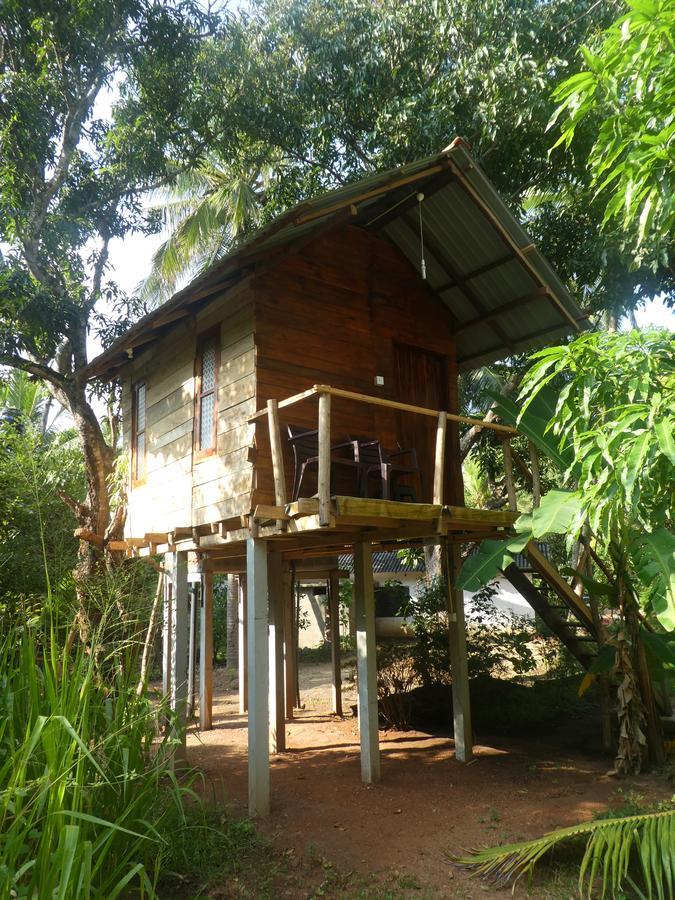 Sanjana Home Stay Habarana Kültér fotó